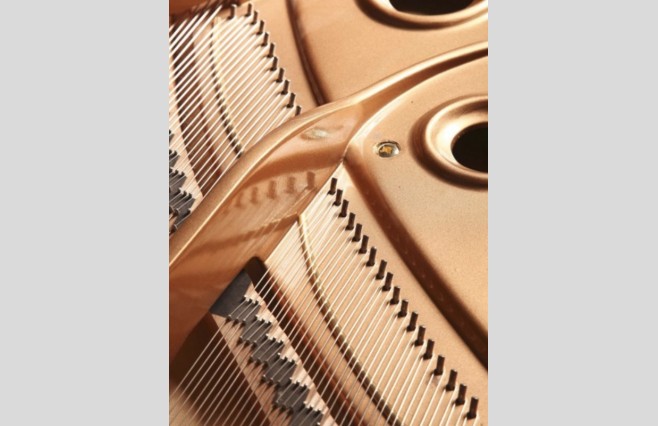 Steinhoven SG227 Polished Walnut Grand Piano All Inclusive Package - Image 7
